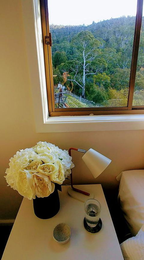The View 2 Bed Unit With Stunning Hobart Outlook - Tourism Caloundra 6