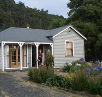 Sassafras Springs - Tourism Caloundra