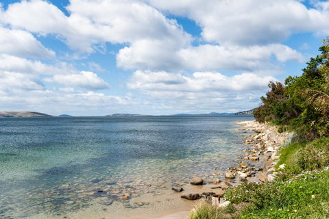 Litora Accommodation - Tourism Caloundra 27