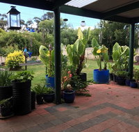 Blue Wren Bungalow - Tourism Caloundra