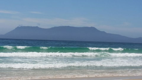 Beezneez B&B - Tourism Caloundra 17