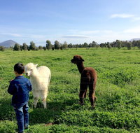 Taras Richmond Farmstay - Tourism Caloundra