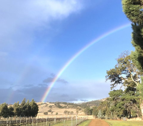 Taras Richmond Farmstay - Tourism Caloundra 29
