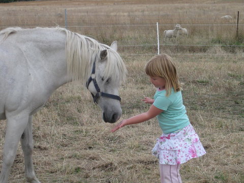 Taras Richmond Farmstay - Tourism Caloundra 19