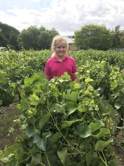 Taras Richmond Farmstay - Tourism Caloundra 11