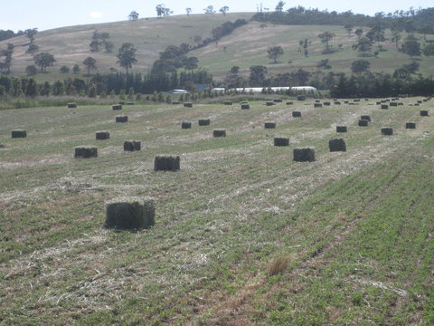 Taras Richmond Farmstay - Tourism Caloundra 18