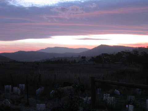 Taras Richmond Farmstay - Tourism Caloundra 22