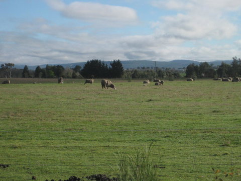 Taras Richmond Farmstay - Tourism Caloundra 13
