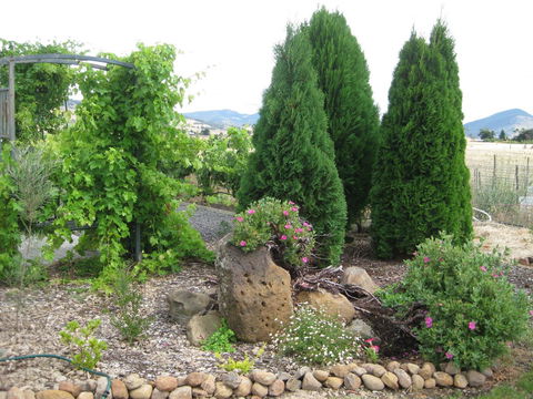 Taras Richmond Farmstay - Tourism Caloundra 23