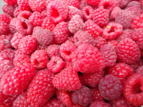 Taras Richmond Farmstay - Tourism Caloundra 15