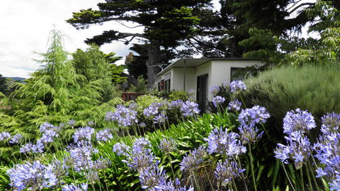 Tamar River Retreat - Tourism Caloundra 28