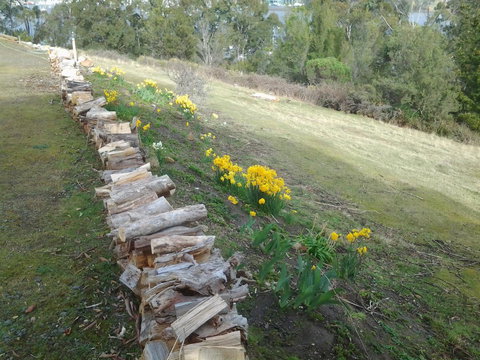 Marinavisage - Tourism Caloundra 19