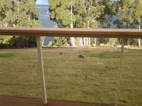 Marinavisage - Tourism Caloundra 20