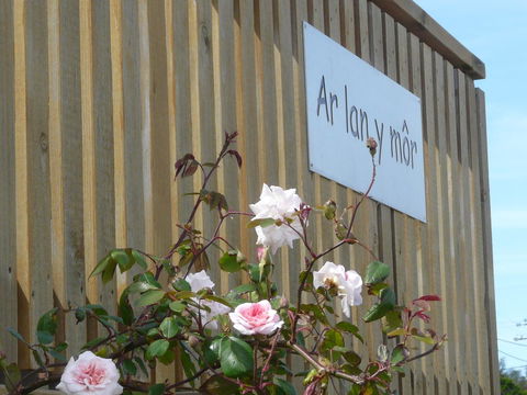 Ar Lan Y Mor - Tourism Caloundra 12