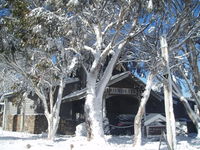 Book Dinner Plain Accommodation Vacations Tourism Caloundra Tourism Caloundra