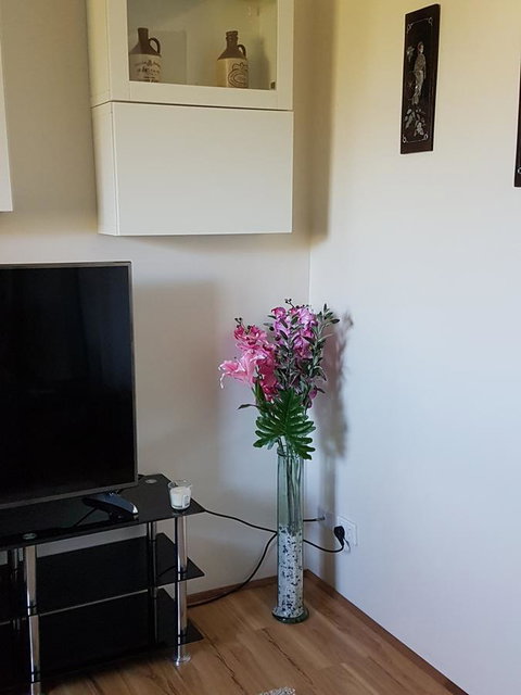 Romsey Homestay - Tourism Caloundra 8