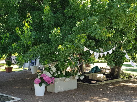 The Cottage - Tourism Caloundra 30