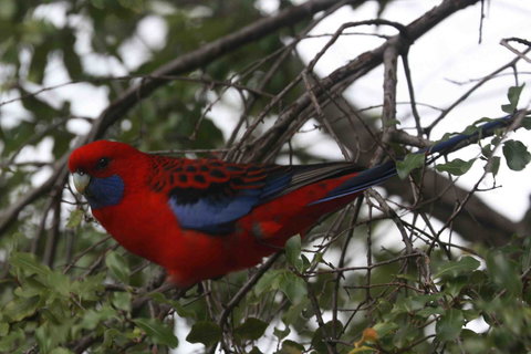 Oxford Rise Apartment - Tourism Caloundra 22