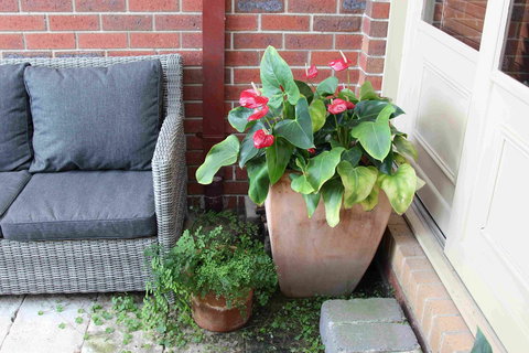 Oxford Rise Apartment - Tourism Caloundra 16