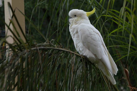 Oxford Rise Apartment - Tourism Caloundra 23