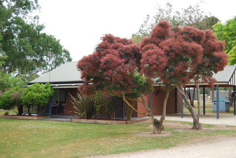 Greenvale Holiday Units - Tourism Caloundra 9
