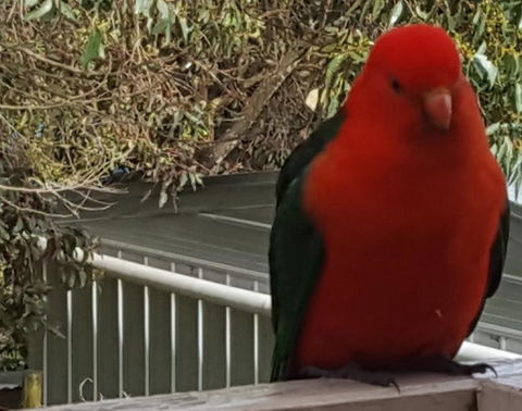 Wilsons Promontory Motel - Tourism Caloundra 23
