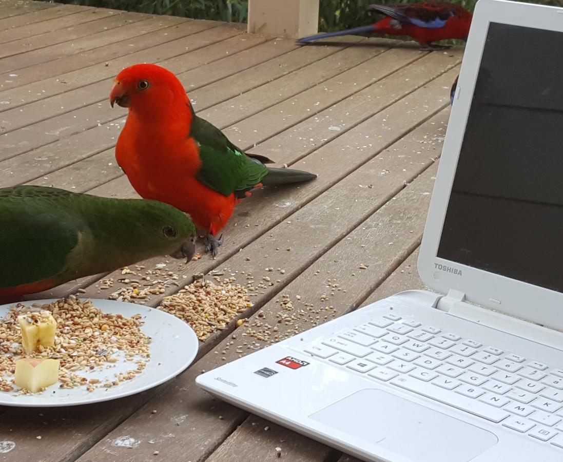 Wilsons Promontory VIC Tourism Caloundra