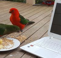 Wilsons Promontory Motel - Tourism Caloundra