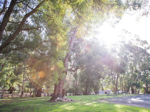Gariwerd Motel - Tourism Caloundra 7