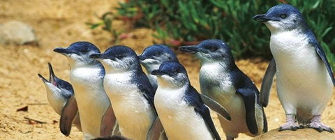 Quays Motel San Remo - Tourism Caloundra 22