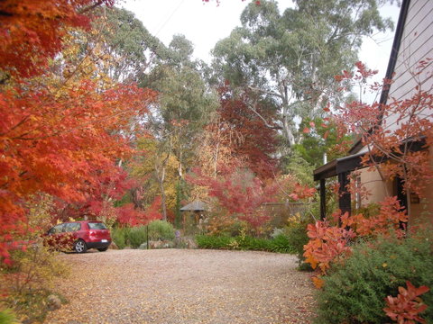 Merrimeet Cottages - Tourism Caloundra 5
