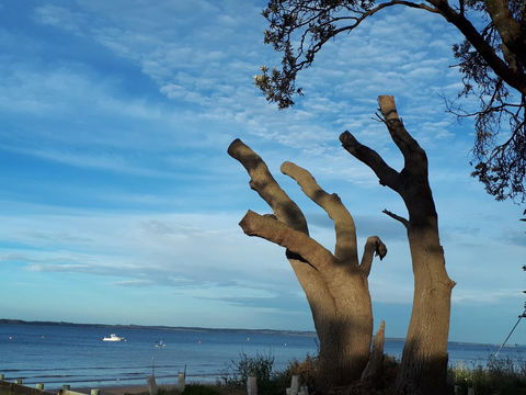 Apartments In Phillip Island Towers - Block C - Tourism Caloundra 10
