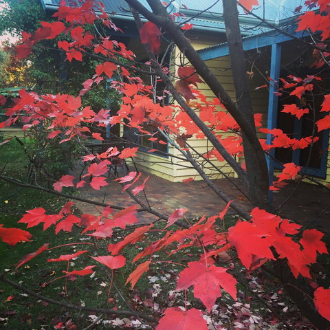 The Orchard House - Tourism Caloundra 27