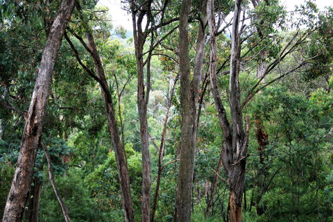 Tangenong Cottages - Tourism Caloundra 9