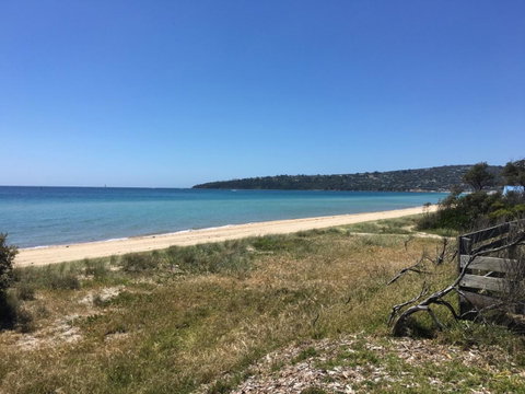 Marina Beach - Tourism Caloundra 14