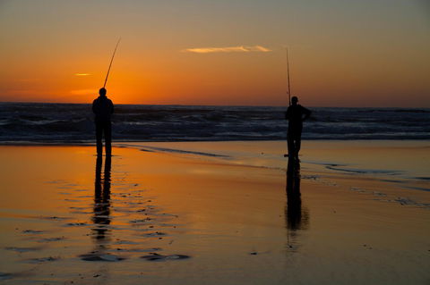 Arcadia Phillip Island - Tourism Caloundra 23