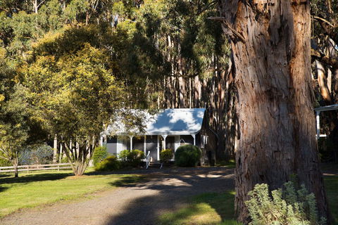 Bodhi Daylesford - Tourism Caloundra 8