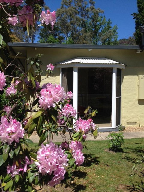 On The Banks - Tourism Caloundra 20