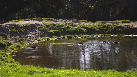 Limosa Rise - Tourism Caloundra 15