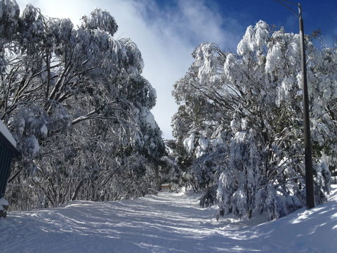 Maisonettes Falls Creek - Tourism Caloundra 17