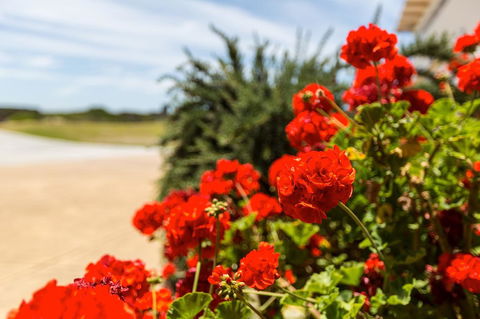 Cottages For Couples - Tourism Caloundra 13