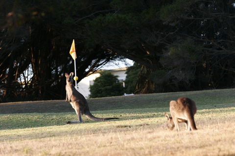 Lakeside At Mallacoota - Tourism Caloundra 37