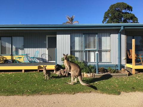 Lakeside At Mallacoota - Tourism Caloundra 15