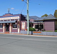 The Bears Went Over The Mountain - Tourism Caloundra