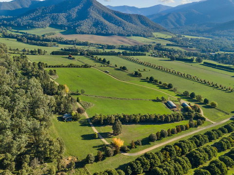 The Buckland Studios - Tourism Caloundra 3