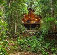The Canopy Rainforest Treehouses  Wildlife Sanctuary - Tourism Caloundra
