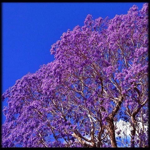 The Church - Tourism Caloundra 3