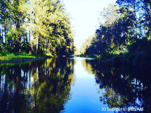 The Dairy Bales At Moo River Farm - Tourism Caloundra 2