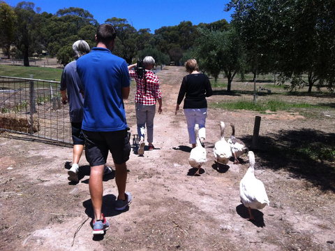 The Farm Willunga - Tourism Caloundra 1