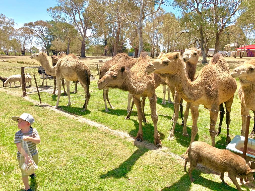 Tourism Caloundra
